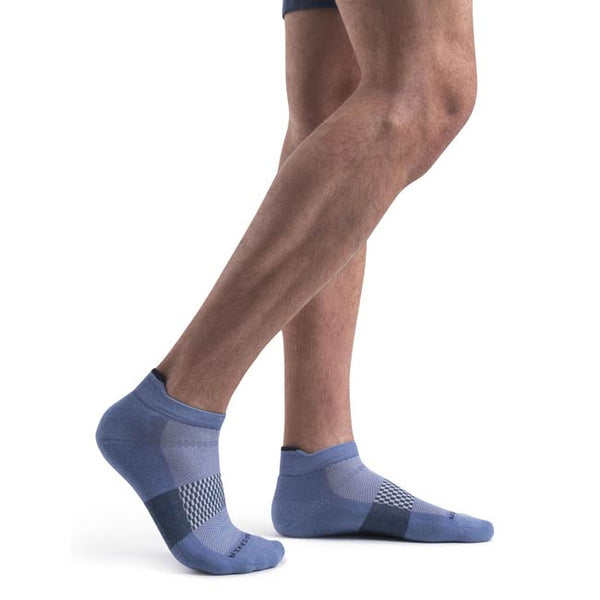 Icebreaker Men's Merino Multisport Light Micro Socks