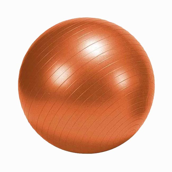 Maxfit Burst Kit 65cm Gym Ball